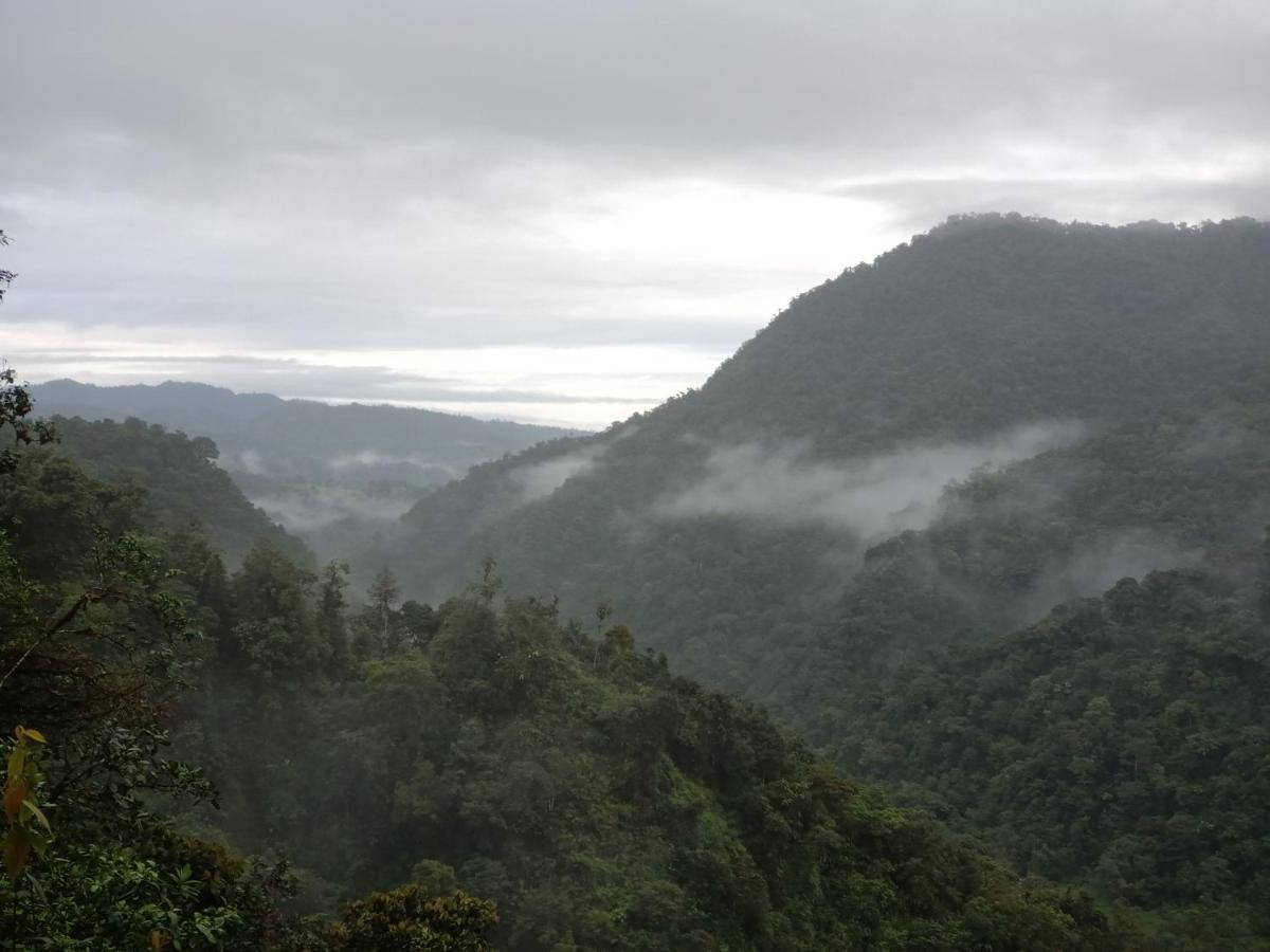 Biohostal Mindo Cloud Forest Zewnętrze zdjęcie
